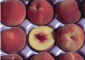 Laurol Peach