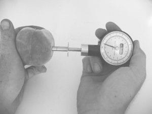 Penetrometer Press Test