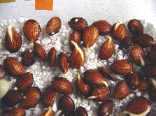 Seed Sprouts