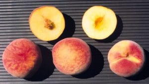 Veecling Peach