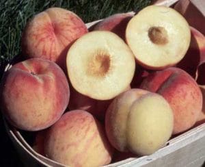 Virgil Peach